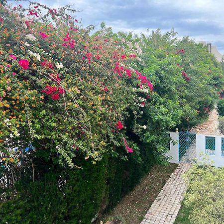 Appartement Rayhan Yasmine Hammamet Eksteriør bilde